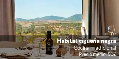 Habitat cigueña negra